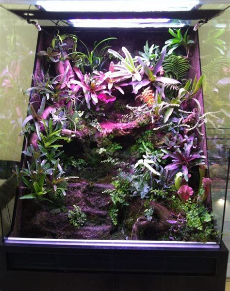 Often overlooked for window boxes are foolproof flowering bulbs. Natuterrarium | Container gardening, Window boxes, Garden