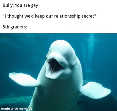Beluga Whale Meme