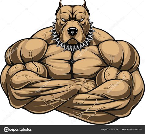 Our tutorial demonstrates all steps making it easy for you to draw with great detailing. Dog bodybuilder | Angry dog bodybuilder — Stock Vector ...