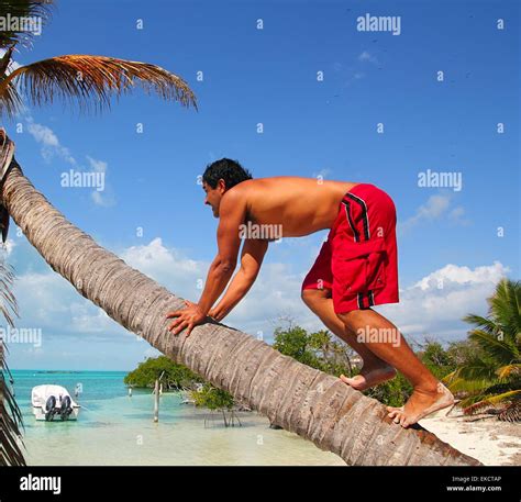 Indian Man Climbing Coconut Tree Hi Res Stock Photography And Images