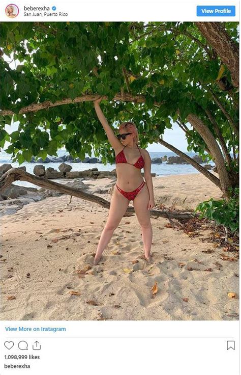 Bebe Rexha Posts Unedited Bikini Pic To Instagram After War Of Words