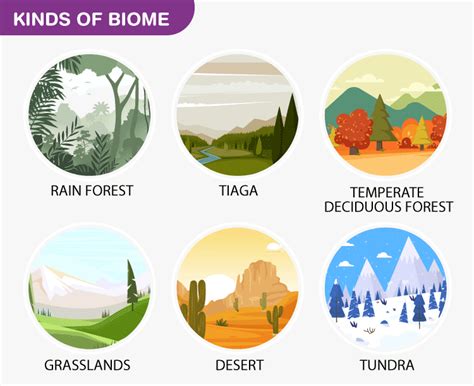 What Is Biomes Definition Types Classification Of Biomes Eschool