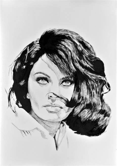 Sophia Loren Ink Drawing Sophia Loren Carlo Ponti Best Actress