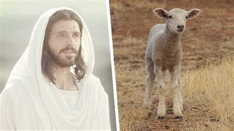 Jesus Christ With Lamb