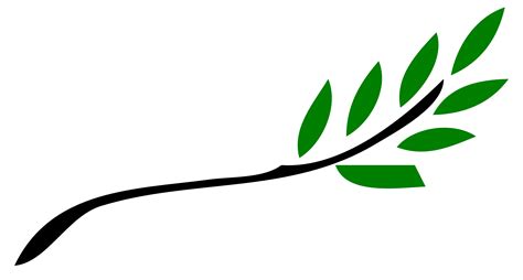 Olive Branch Photo ClipArt Best