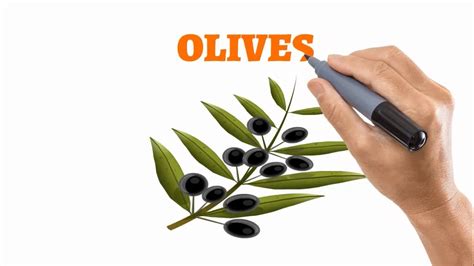 How To Draw Olives Youtube