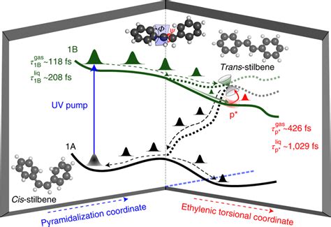 Of The Excited State Dynamics Of Cis Stilbene Schematic Representation Download Scientific