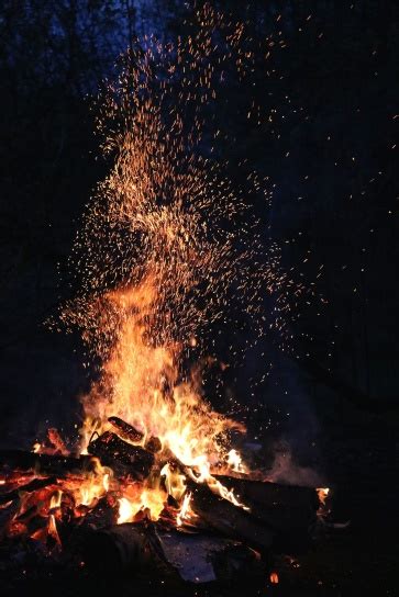 Free Picture Fire Firewood Flame Forest Heat Hot Night Smoke Spark