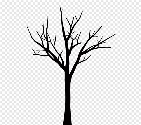 رسم شجرة البلوط رسم شجرة قلم رصاص ورقة Png