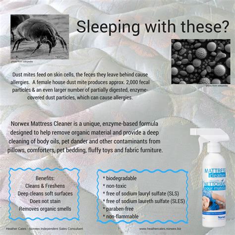 Dust mites got you a bit freaked out? Changing bed sheets once a week is a must do but how ...