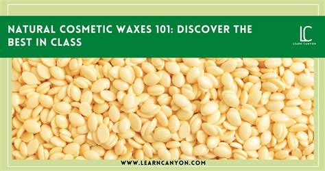 Natural Cosmetic Waxes 101 Discover The Best In Class
