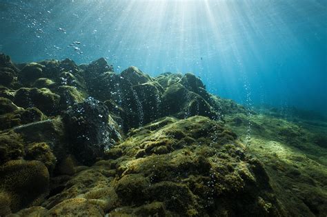 Astronaut in the ocean is a 2019 song by rapper masked wolf. Oxygen Levels in Oceans Are Dropping Dangerously | At the ...