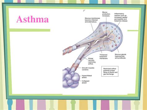 Ppt Nursing Care Of The Pediatric Individual With A Respiratory