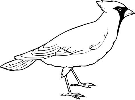 birdlove wing fly coloring page wecoloringpagecom