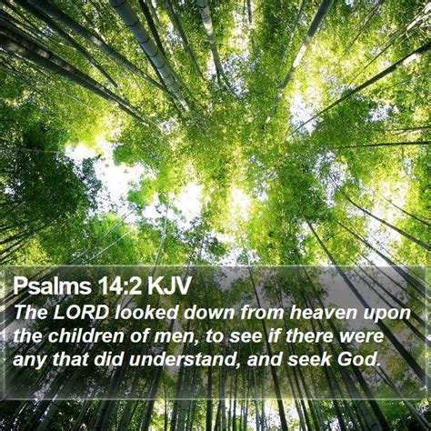 Psalms 142 Kjv The Lord Looked Down From Heaven Upon The
