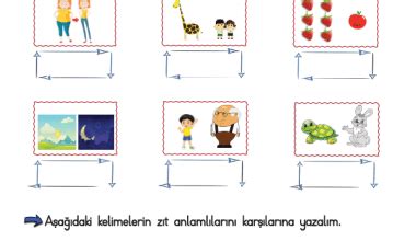 1.SINIF EŞ ANLAMLI VE ZIT ANLAMLI KELİMELER | Soner Hoca