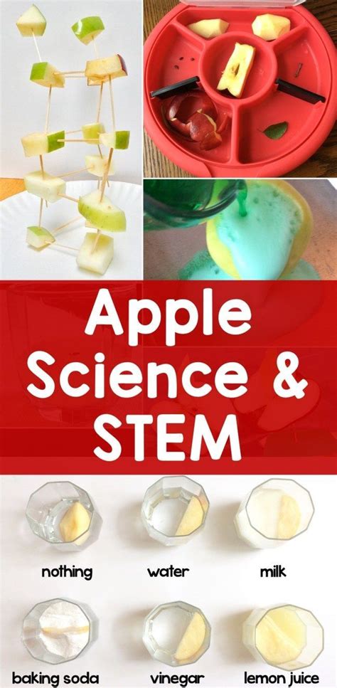 Apple Science Experiments And Stem Activities Lessons For Little Ones