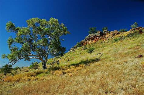 North Australian Tropical Savannas Au8 One Earth