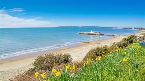 Things To Do In Bournemouth Official Tourist Information