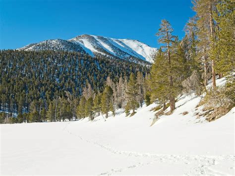San Gorgonio Winter Ascent Backcountry Sights