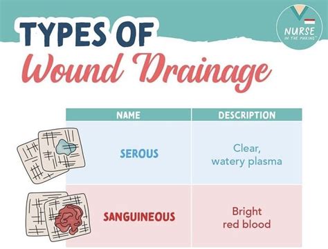 Type Of Wound Drainage