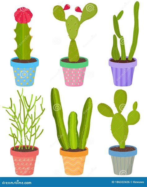 Vector Set Of Cactus Cacti Aloe Succulent Plants In Pot Collection Of