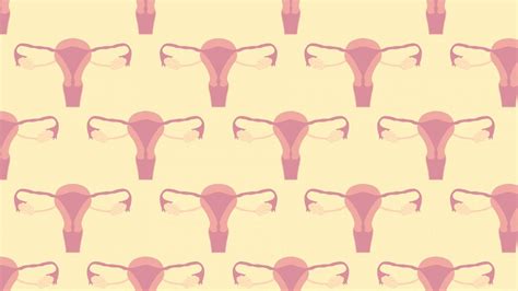 11 weird facts about your cervix