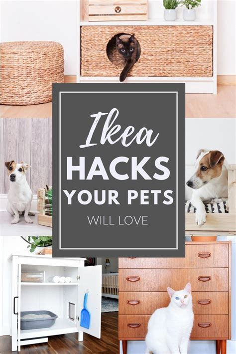 Ikea Hacks Your Pets Will Love Ikea Hacks For Cats Diy Dog Stuff