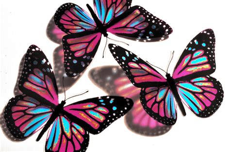 10x 3d Butterflies Pink And Blue Wall Art Decoration Kids