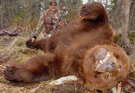 Here Are The Biggest Alaska Brown Bear Kills In The Record