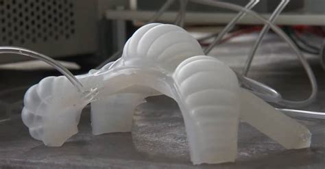 Interns Develop Soft Robots For Nasas Next Moon Mission