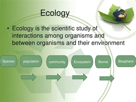 Ppt Ecology Powerpoint Presentation Free Download Id2827897