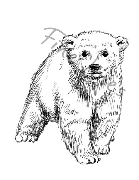 Baby Bear Printable Cute Bear Poster Woodland Animals Kids Etsy