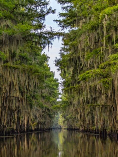 A Guide To Louisiana Lakes For Fishing And Boating Tripnomadic