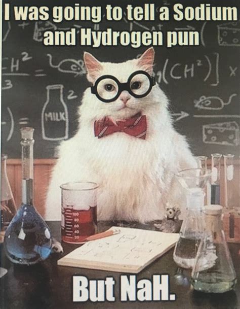 Pin By Crystal Davis On For Laughs Chemistry Cat