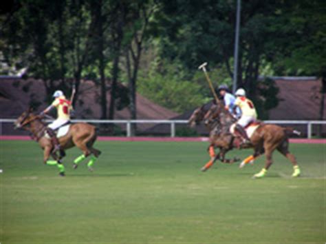 Tarquin, francis, sobhi, palau, and alif. Polo