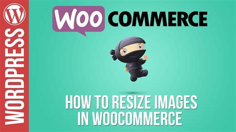 30 mb & 10 mp ) you can upload an image in jpeg, png, gif or bmp format. How To Resize Images in Woocommerce for Wordpress - YouTube