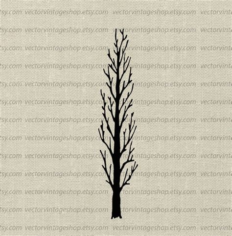Tree Silhouette Svg File Cottonwood Tree Vector Clipart Etsy