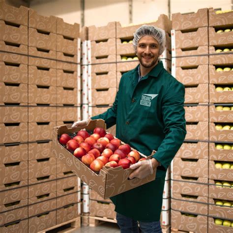 El viaje de las frutas y verduras ecológicas