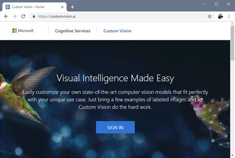 Custom Vision이란 Azure Cognitive Services Microsoft Learn