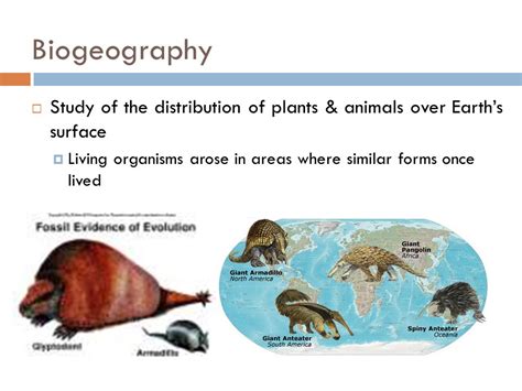 Evidence For Evolution Chapter 15 Biogeography S Study Of The