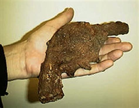 If two people walk through the detector in quick succession, making it unclear which individual triggered the alarm, the obviously wrong one is who will be hassled by security. Old Corroded Gun - Stuff Found by Metal Detectors