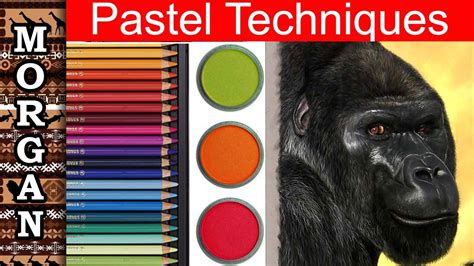 Pastel Pencil Techniques Drawing A Gorilla Wildlife Art Jason
