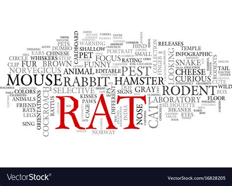 Rat Word Cloud Concept Royalty Free Vector Image