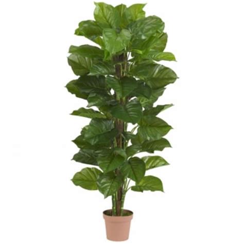 63 In Large Leaf Philodendron Silk Plant Real Touch 1 Fred Meyer