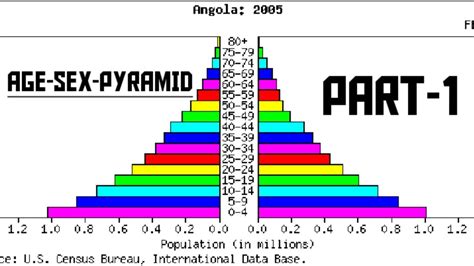 Stages Of Population Pyramid Sexiezpix Web Porn