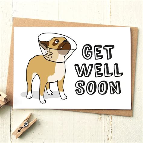 Funny Get Well Card Get Well Soon Card Dog Card Get Well