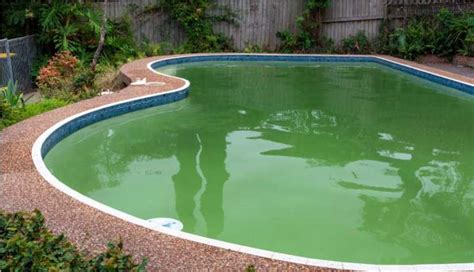 How To Clear Cloudy Pool Water Fast