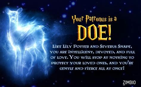 I've seen some ppl here saying that the test should actually be all these questions instead of just randomly sorting 5 of them. What's Your Patronus? | Harry Potter Amino
