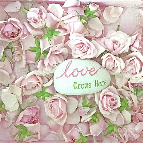 Shabby Chic Pink Cottage Pastel Roses Inspirational Love Grows Here